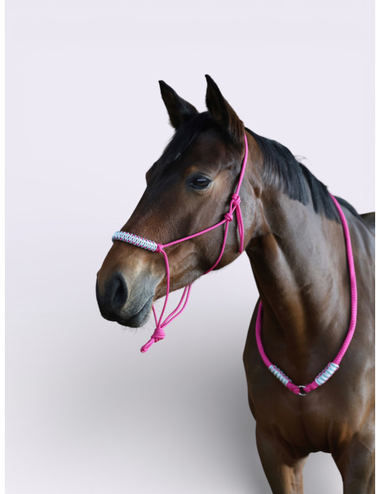 Ensemble Licol et longe édition Pink Limited